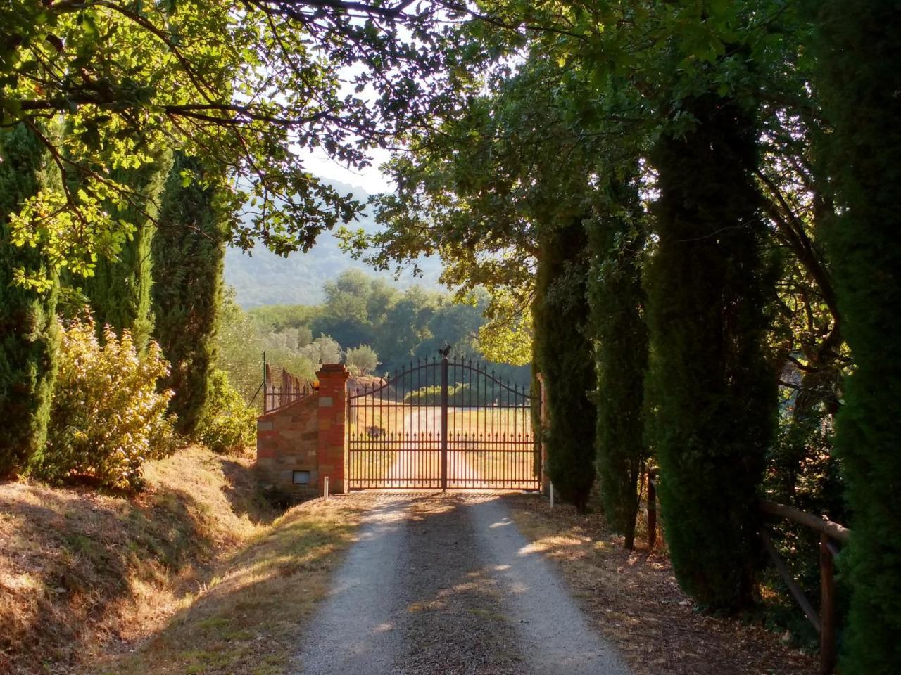 Ferienwohnung Casale I Burroni Arezzo Exterior foto